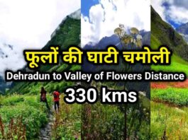 phulon ki ghati flowers valley distance from dehradun