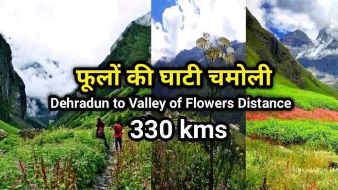 phulon ki ghati flowers valley distance from dehradun