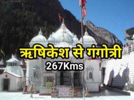 how to reach gangotri distance from rishikesh
