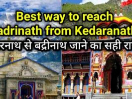 kedarnath to badrinath distance