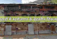 पहाड़ों में स्वरोजगार के 10 बेहतरीन विकल्प – अपने गांव में रहकर कमाएं लाखों | Pahado me swarojgaar