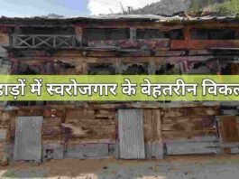 पहाड़ों में स्वरोजगार के 10 बेहतरीन विकल्प – अपने गांव में रहकर कमाएं लाखों | Pahado me swarojgaar