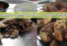 उत्तराखंड की टॉप 10 लोकल डिशेज़ | Top 10 Uttarakhand pahadi dishes Top 10 pahadi uttarakhand food dishes