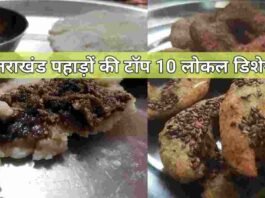 Top 10 pahadi uttarakhand food dishes