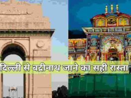 Delhi to badrinath distance and best way to reach
